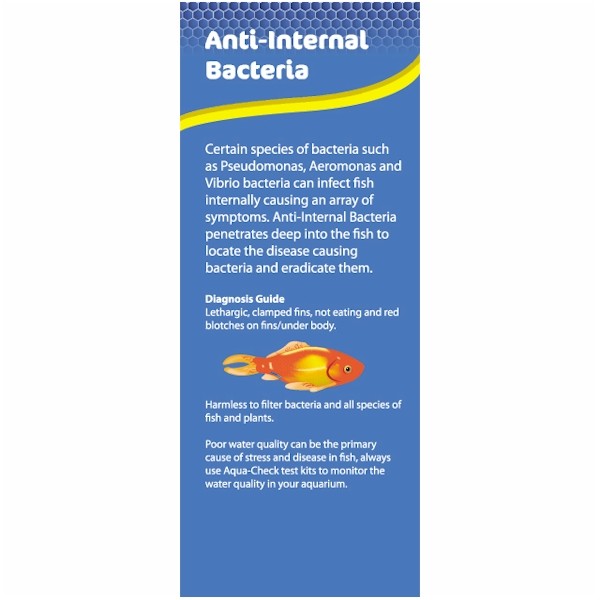 Nt Labs Anti Internal Bacteria 100ml The WaterZoo Tropical fish